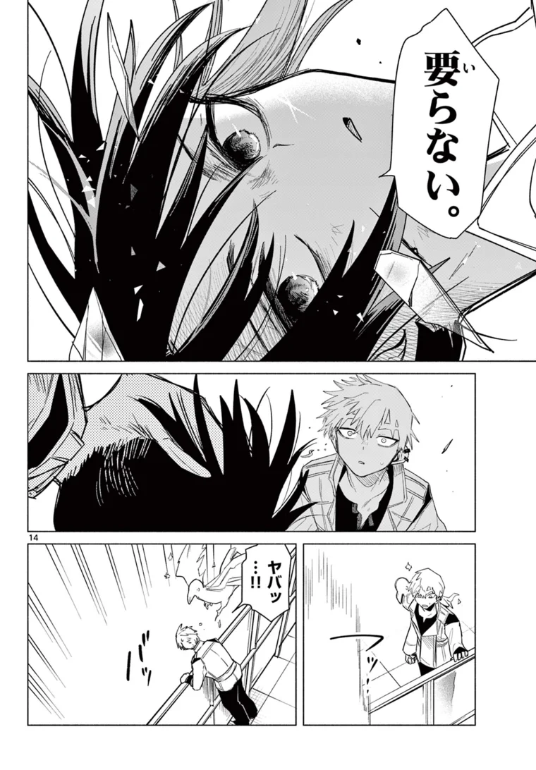 Page 14